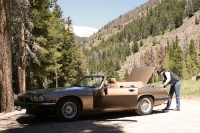 getting-the-picnic-lunch-out-of-the-boot