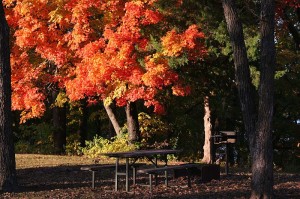 Fall Color at Twin Bridges